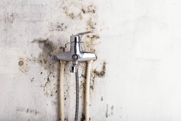 Professional Mold Remediation in Dodge City, KS
