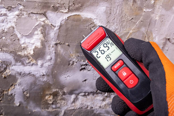 Best Residential Mold Remediation in Dodge City, KS