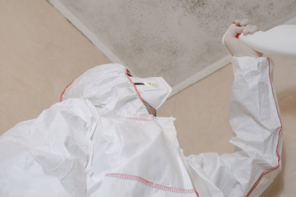 Best Mold Testing and Inspection Services in Dodge City, KS