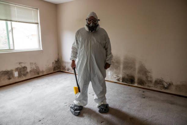 Best Mold Remediation for Specific Building Types in Dodge City, KS
